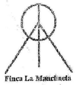 Imagen de FINCA LA MANCHUELA