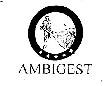 Imagen de AMBIGEST