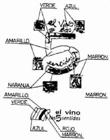Imagen de EL VINO Y LOS 5 SENTIDOS