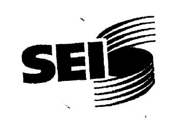 Imagen de SEI