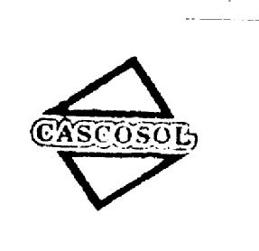 Imagen de CASCOSOL