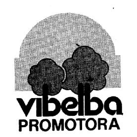 Imagen de VIBELBA PROMOTORA