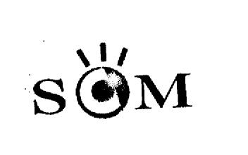 Imagen de SCM