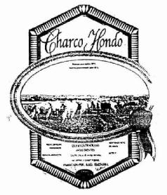Imagen de CHARCO HONDO