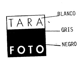 Imagen de TARA ZONA FOTO
