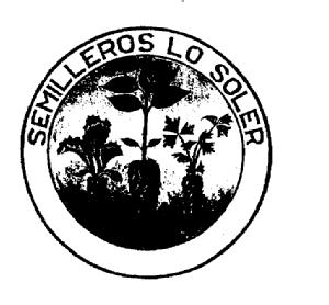 Imagen de SEMILLEROS LO SOLER