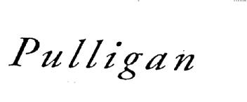 Imagen de PULLIGAN