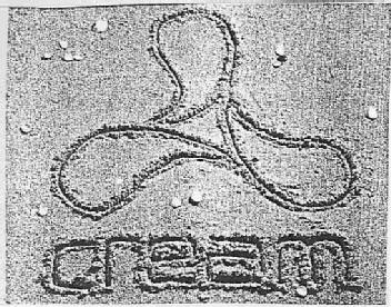 Imagen de CREAM