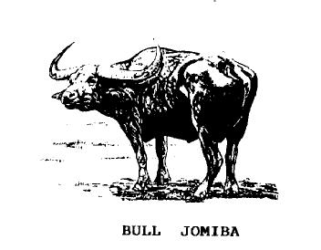 Imagen de BULL JOMIBA