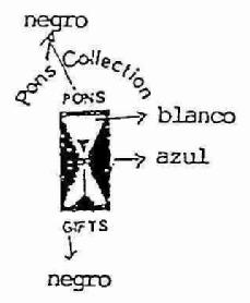 Imagen de PONS COLLECTION PONS GIFTS
