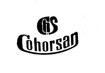 Imagen de CHS COHORSAN