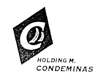 Imagen de C, HOLDING M. CONDEMINAS