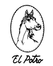 Imagen de EL POTRO