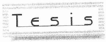 Imagen de TESIS