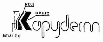 Imagen de KAPYDERM