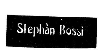 Imagen de STEPHAN BOSSI