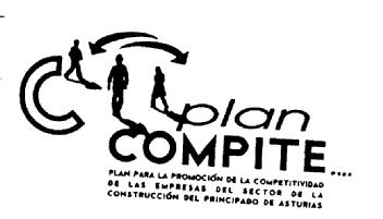 Imagen de C PLAN COMPITE.... PLAN PARA LA PROMOCION DE LA COMPETITIVIDAD DE LAS EMPRESAS DEL SECTOR DE LA CONSTRUCCION DEL PRINCIPADO DE ASTURIAS