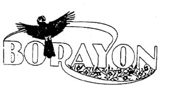 Imagen de BORAYON