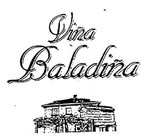 Imagen de VIÑA BALADIÑA