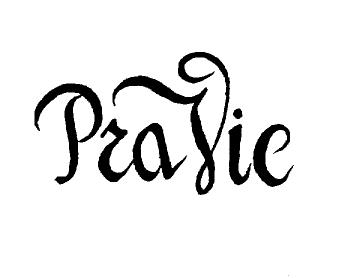 Imagen de PRAVIC