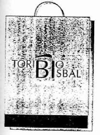 Imagen de TORIBIOBISBAL