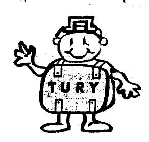 Imagen de TURY