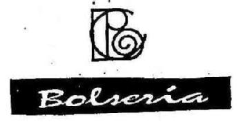Imagen de CB BOLSERIA