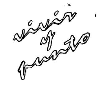 Imagen de VIVIR Y PUNTO