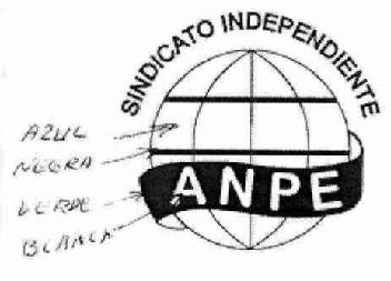 Imagen de ANPE SINDICATO INDEPENDIENTE