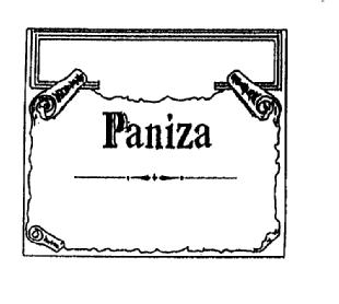 Imagen de PANIZA