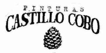 Imagen de PINTURAS CASTILLO COBO
