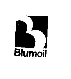 Imagen de B BLUMOIL