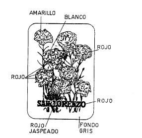 Imagen de SAN LORENZO