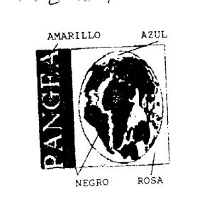 Imagen de PANGEA