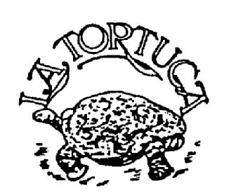 Imagen de LA TORTUGA