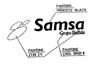 Imagen de SAMSA GRUPO SUBUS