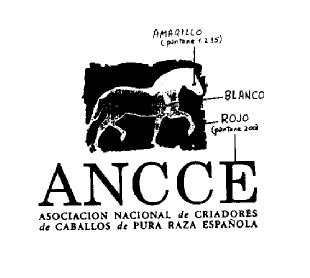 Imagen de ANCCE ASOCIACION NACIONAL DE CRIADORES DE CABALLOS DE PURA RAZA ESPAÑOLA