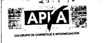 Imagen de APIA CGI GRUPO DE CORRETAJE E INTERMEDIACION