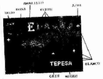 Imagen de STELA TEPESA