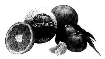 Imagen de SANAHUJA