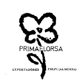 Imagen de PRIMAFLORSA EXPORTADORES PULPI (ALMERIA)