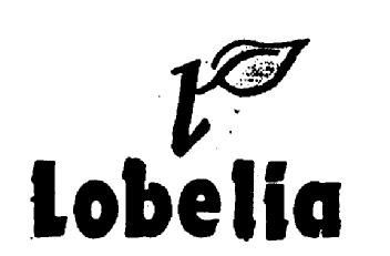 Imagen de L LOBELIA