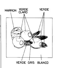 Imagen de M2069456