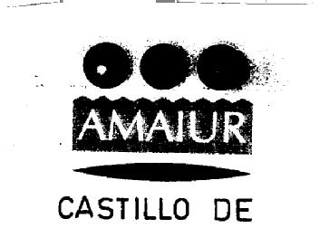 Imagen de AMAIUR CASTILLO DE