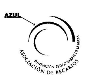 Imagen de ASOCIACION DE BECARIOS FUNDACION PEDRO BARRIE DE LA MANZA
