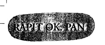 Imagen de RAPIT OK. PAN