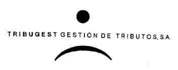 Imagen de TRIBUGEST GESTION DE TRIBUTOS, S.A