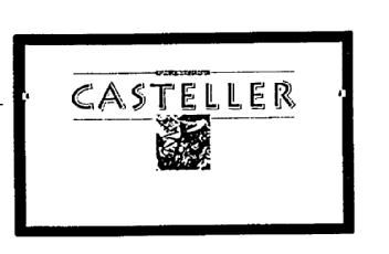 Imagen de CASTELLER