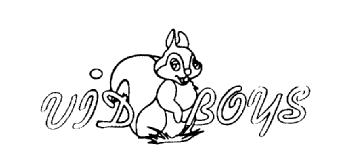 Imagen de VID BOYS