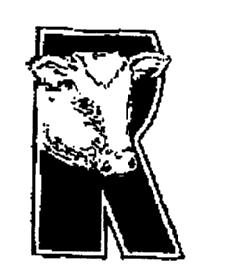 Imagen de R